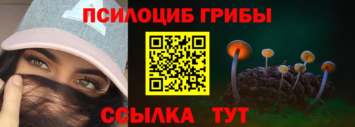 Галлюциногенные грибы мицелий  Вход с VPN  цена   Тверь 